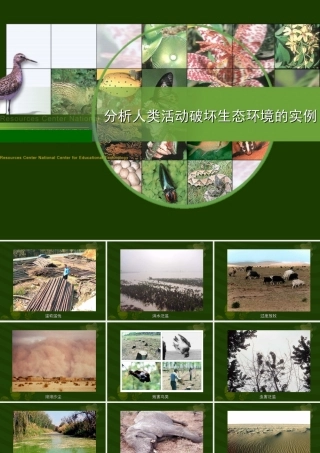 人类活动破坏生态环境的实例2