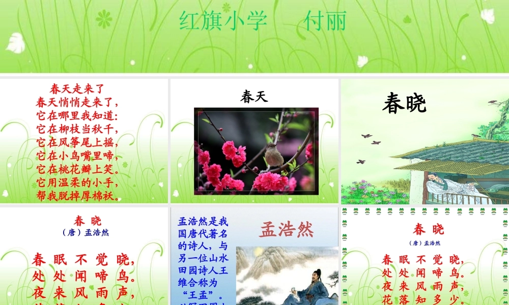 《春晓》教学课件