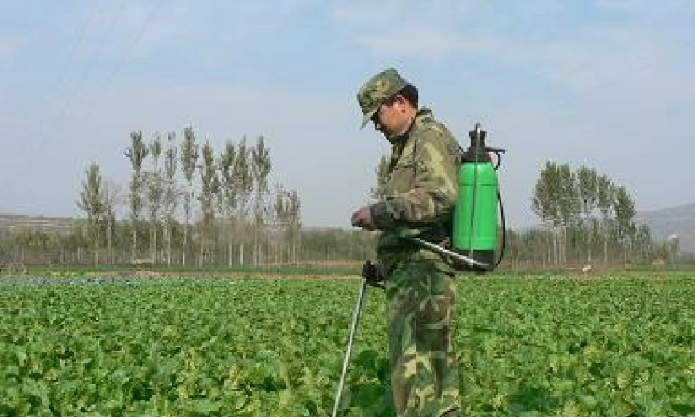 八年级生物上《无机盐与植物的生活》PPT课件