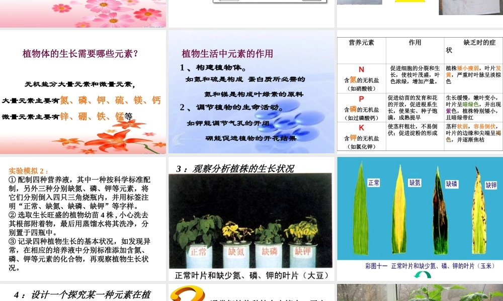 八年级生物上《无机盐与植物的生活》PPT课件
