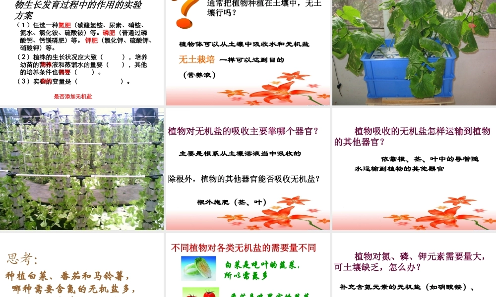 八年级生物上《无机盐与植物的生活》PPT课件
