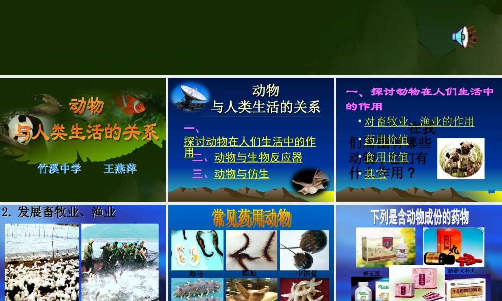 动物与人类生活的关系 (2)