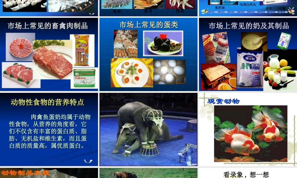 动物与人类生活的关系 (2)