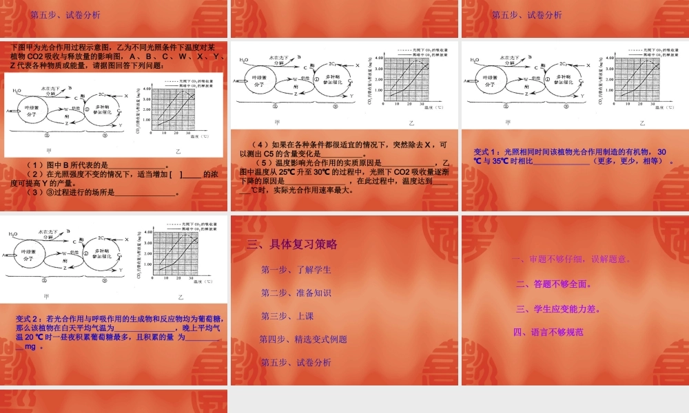 光合作用和呼吸作用