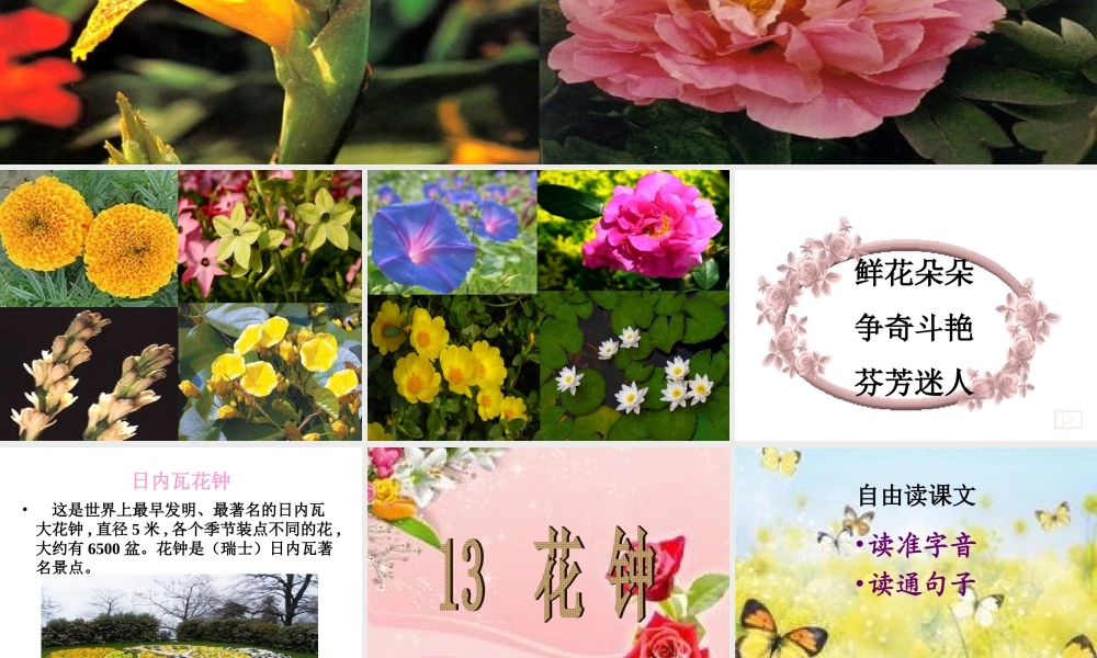 三年语文《花钟》