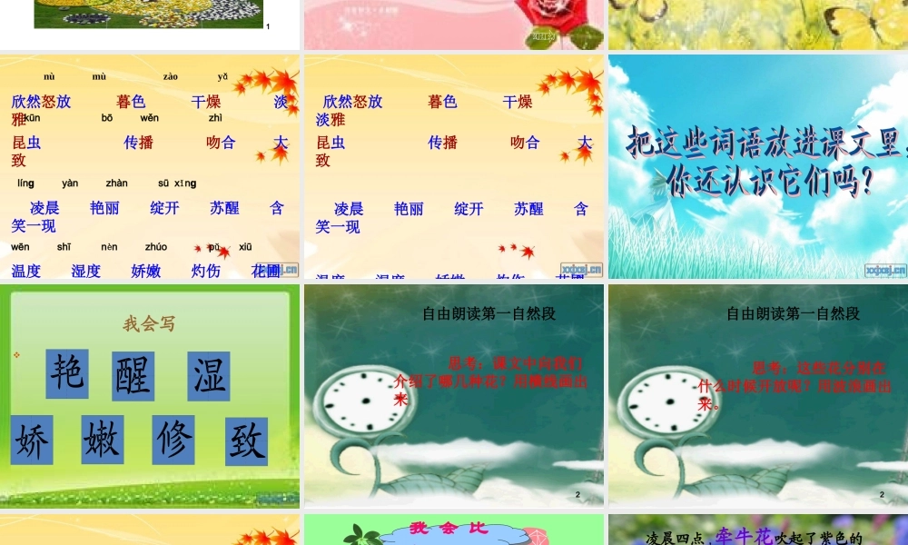 三年语文《花钟》