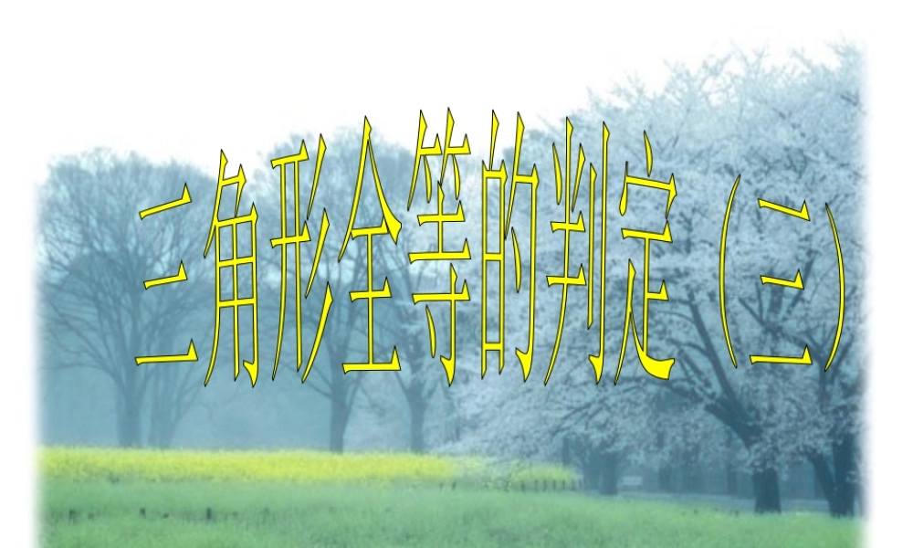 全等三角形的判定三