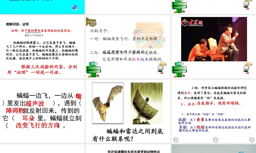 《蝙蝠和雷达》课件【17页】
