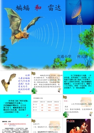《蝙蝠和雷达》课件【17页】