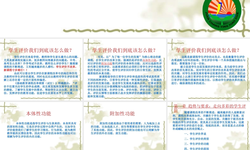 多彩的学生评价