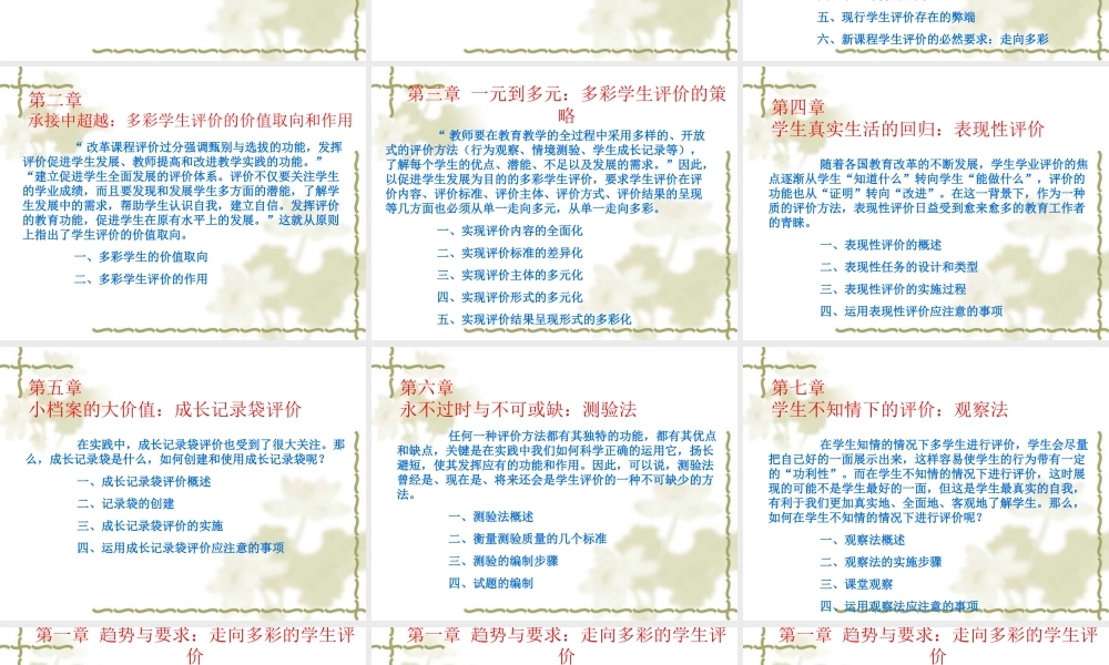 多彩的学生评价