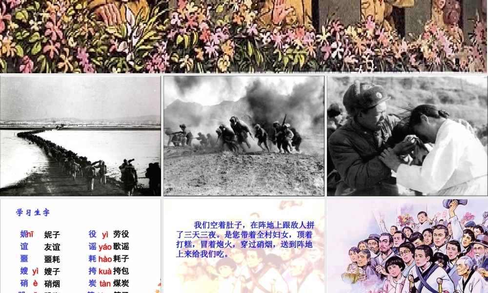 《再见了，亲人》教学课件1