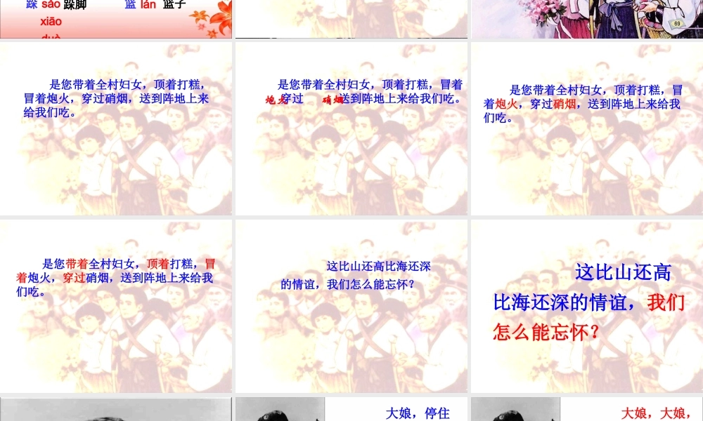 《再见了，亲人》教学课件1