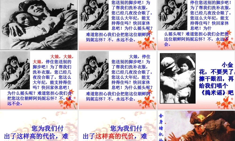 《再见了，亲人》教学课件1