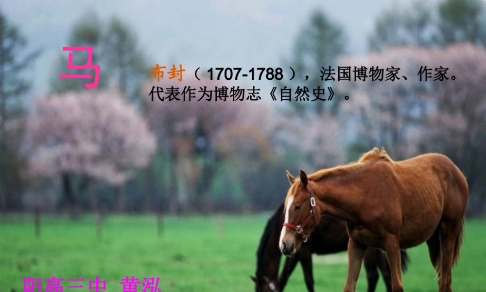 [中学联盟]山西省大同市阳高三中七年级语文下册（人教版）：《29+马》课件
