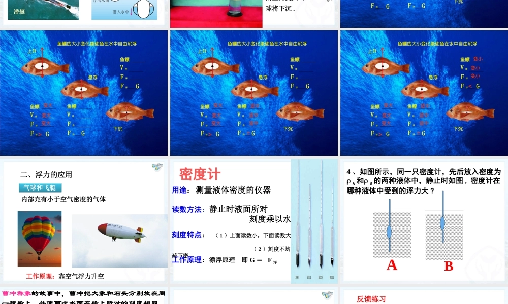 物体的浮沉条件及应用（第二课时）