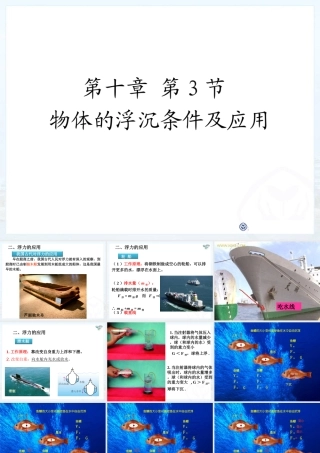 物体的浮沉条件及应用（第二课时）