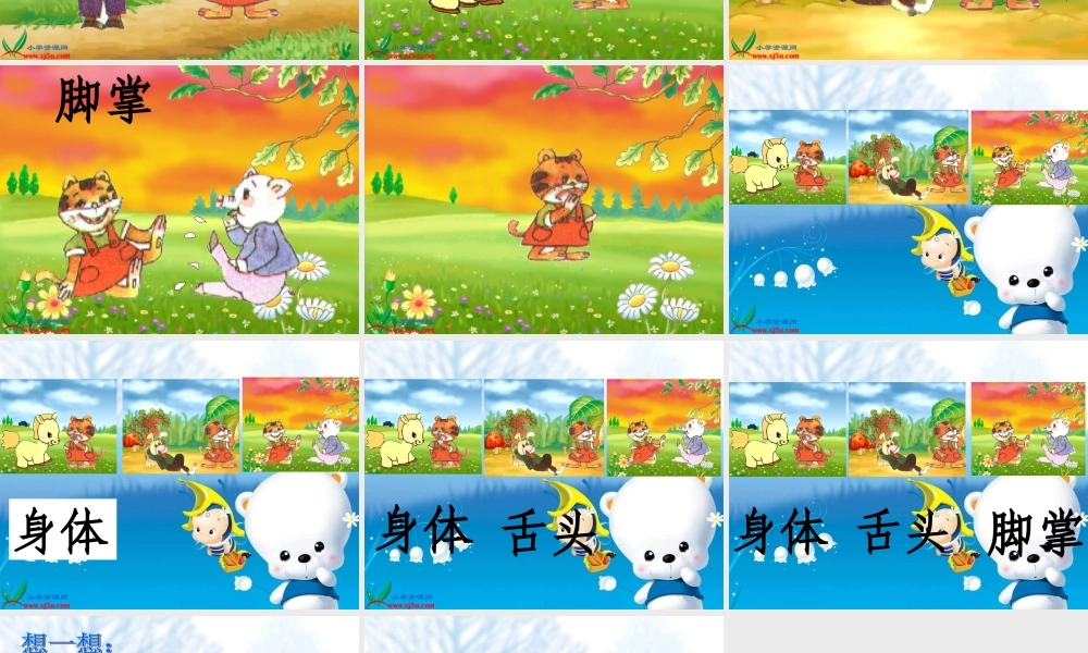 《小花猫找汗_1》PPT课件