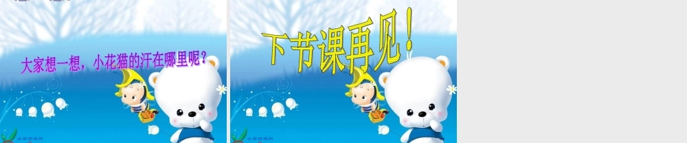 《小花猫找汗_1》PPT课件
