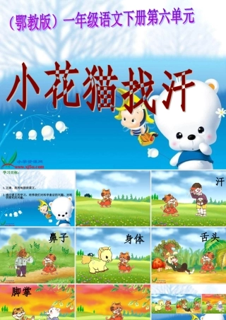《小花猫找汗_1》PPT课件