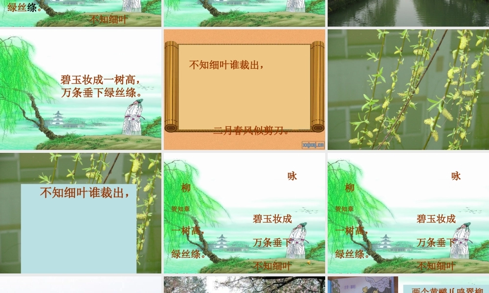 《咏柳》课件 (2)