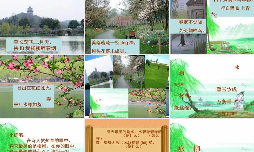 《咏柳》课件 (2)