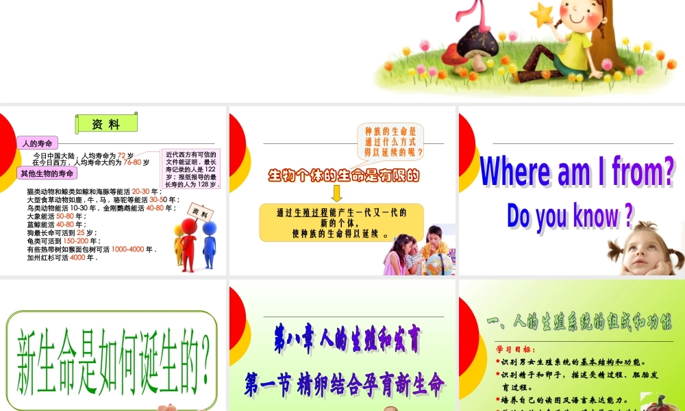 精卵结合孕育新的生命