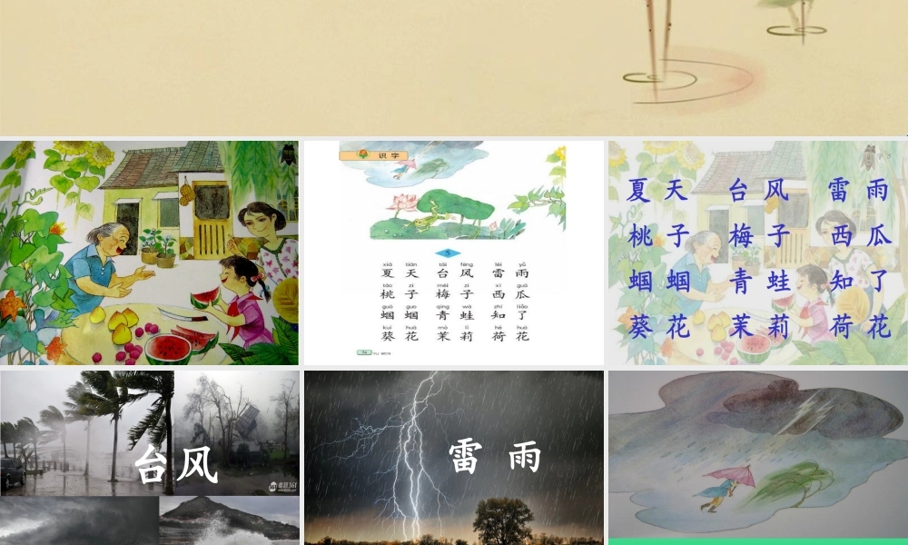 苏教版一年级下册语文识字五课件