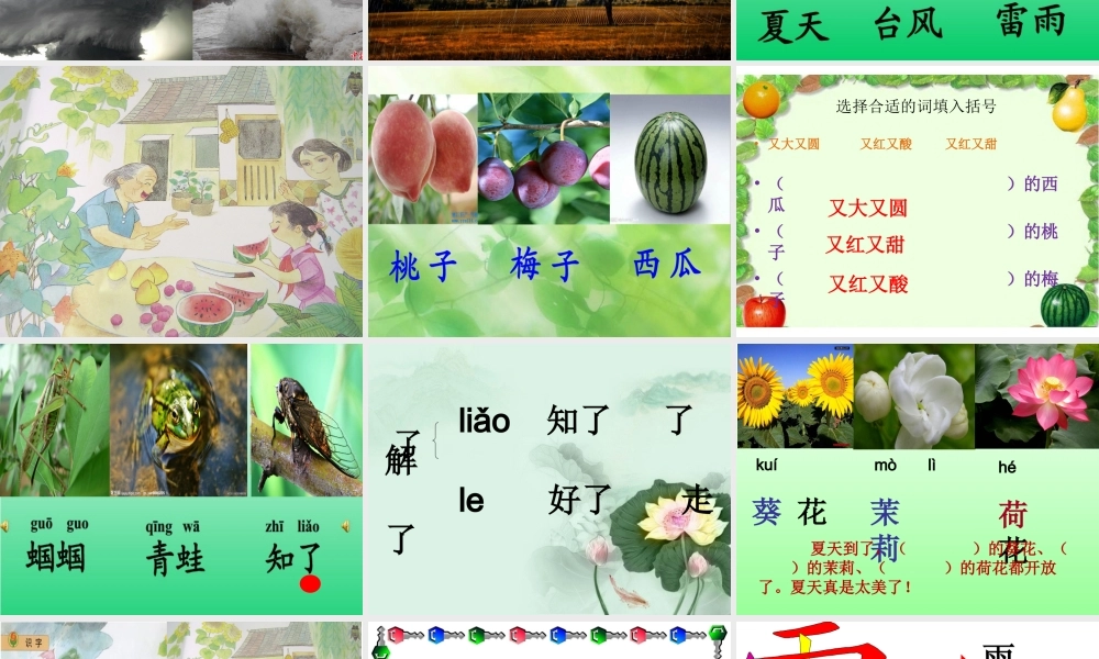 苏教版一年级下册语文识字五课件