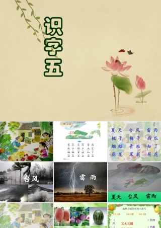 苏教版一年级下册语文识字五课件