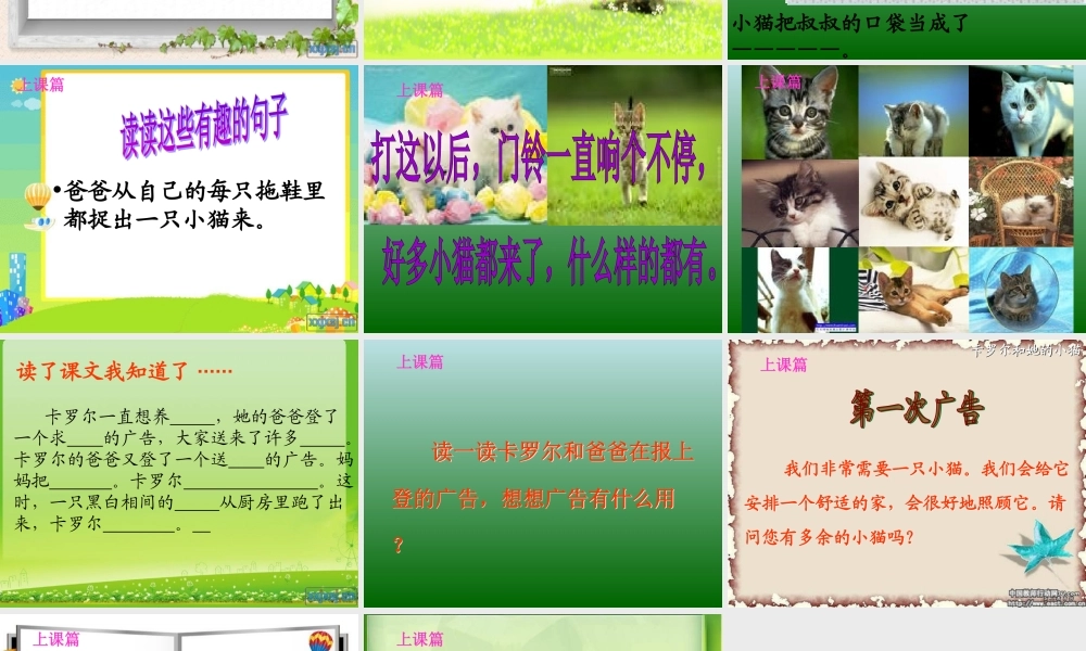卡罗尔和她的小猫上课篇
