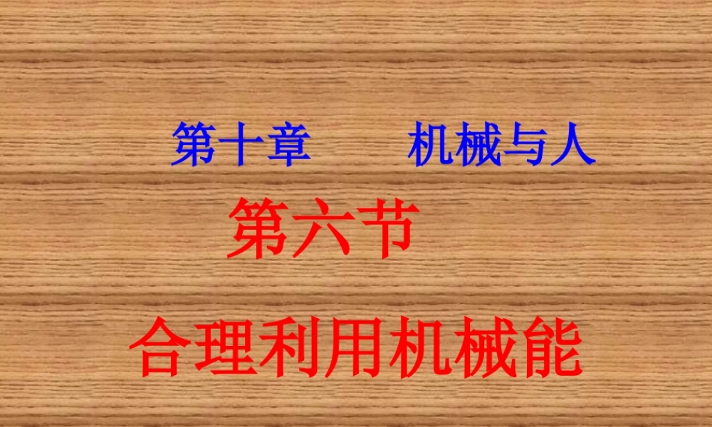 力-沪用106合理利用机械能》