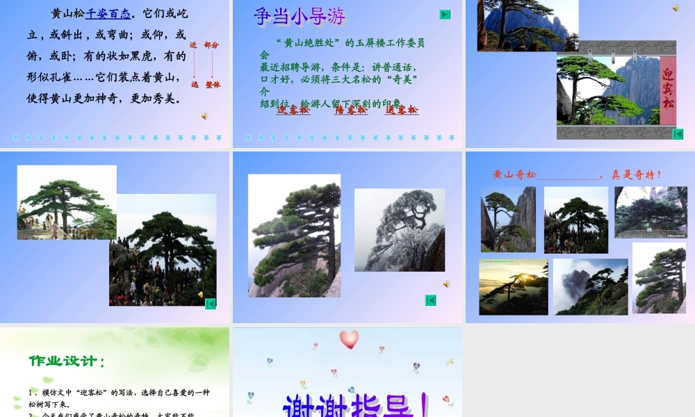 《黄山奇松》课件