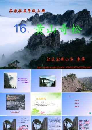 《黄山奇松》课件