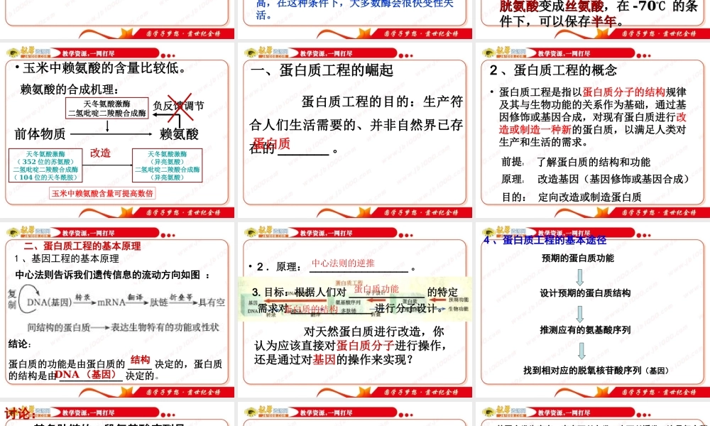 生物：13《蛋白质工程》课件（中图版选修3）