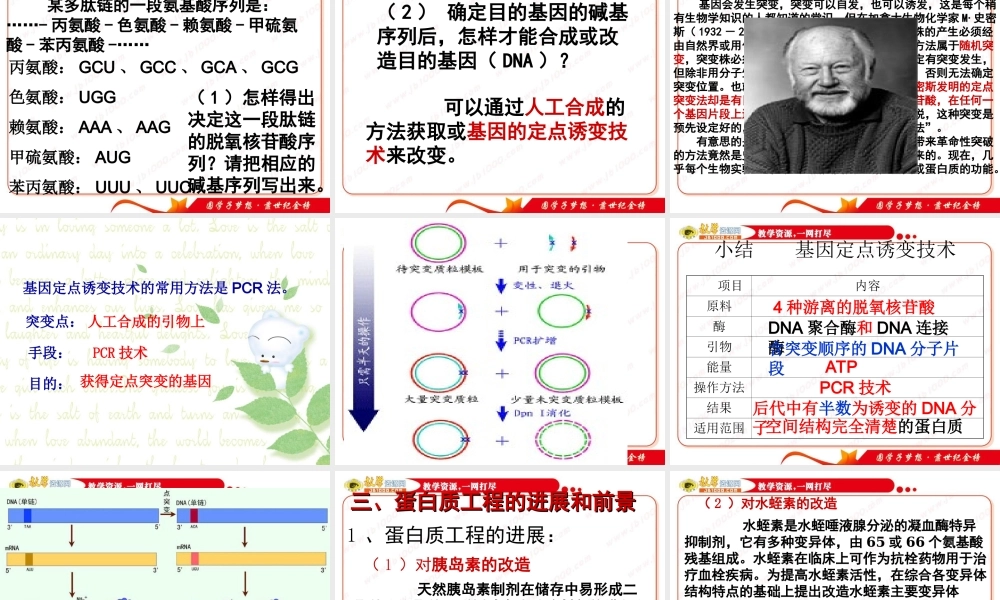 生物：13《蛋白质工程》课件（中图版选修3）