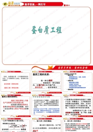 生物：13《蛋白质工程》课件（中图版选修3）