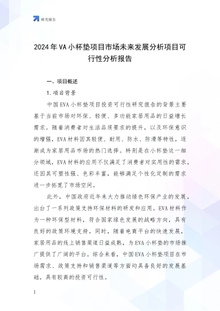 2024年VA小杯垫项目市场未来发展分析项目可行性分析报告