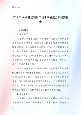 2024年VA小杯垫项目市场未来发展分析研究报告