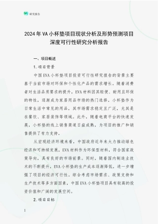 2024年VA小杯垫项目现状分析及形势预测项目深度可行性研究分析报告