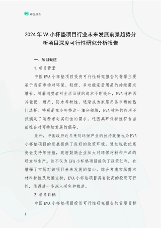 2024年VA小杯垫项目行业未来发展前景趋势分析项目深度可行性研究分析报告