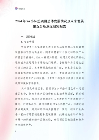 2024年VA小杯垫项目总体发展情况及未来发展情况分析深度研究报告