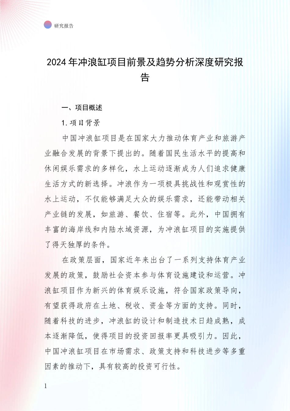 2024年冲浪缸项目前景及趋势分析深度研究报告_第1页