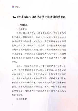 2024年冲浪缸项目市场发展环境调研调研报告