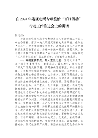 在2024年违规吃喝专项整治“百日活动”行动工作推进会上的讲话