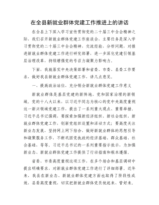 在全县新就业群体党建工作推进上的讲话