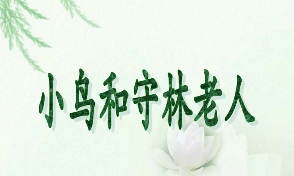 《小鸟和守林老人》教学课件（详细解读）