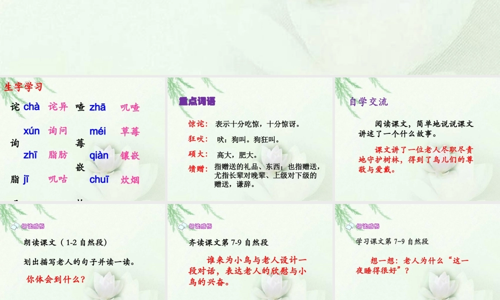 《小鸟和守林老人》教学课件（详细解读）