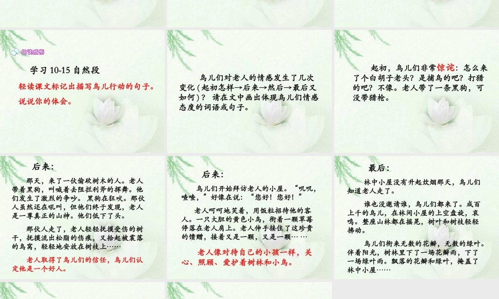 《小鸟和守林老人》教学课件（详细解读）