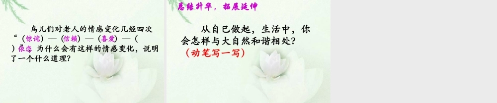 《小鸟和守林老人》教学课件（详细解读）